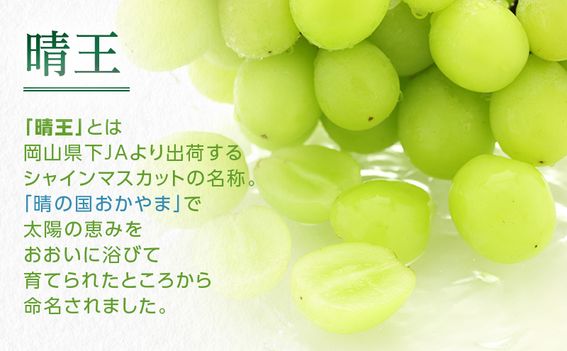 ぶどう 2024年 先行予約 シャイン マスカット 晴王 約400g×2房 8月下旬～10月下旬発送 ブドウ 葡萄  岡山県産 国産 フルーツ 果物 ギフト