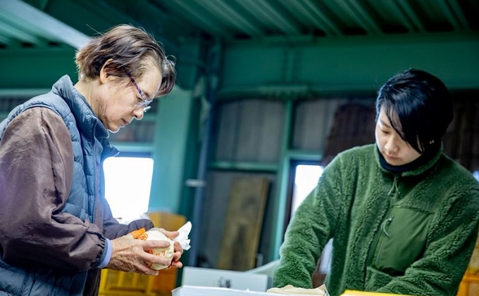 梨 2024年 先行予約 鴨梨（ヤーリー）3～5玉 約2kg 贈答箱 ナシ なし 岡山県産 国産 フルーツ 果物 ギフト 石原果樹園