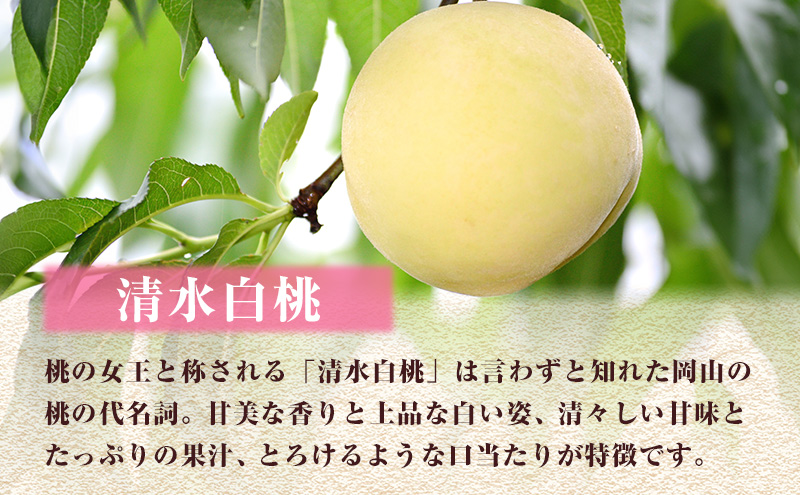  【2025年先行予約】 桃 岡山県産 清水 白桃 約1.5kg(5～6玉)  《2025年7月中旬-8月上旬頃出荷》 白桃 岡山 はくとう スイーツ フルーツ 果物 先行予約 数量限定 期間限定 岡山 里庄町 モモ もも 桃