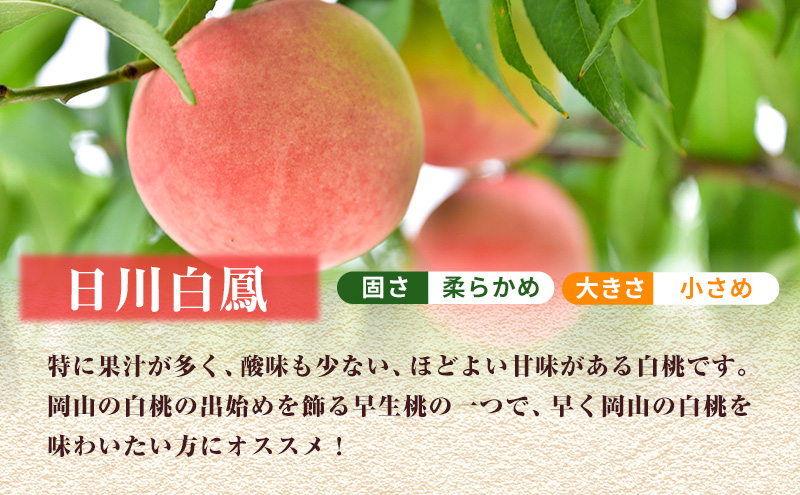 【2025年先行予約】 桃 岡山県産 日川 白鳳 （白桃） 約1.5kg（5～7玉） 《2025年6月下旬-7月上旬頃出荷》  白桃 岡山 スイーツ フルーツ 果物 先行予約 数量限定 期間限定 岡山 里庄町 