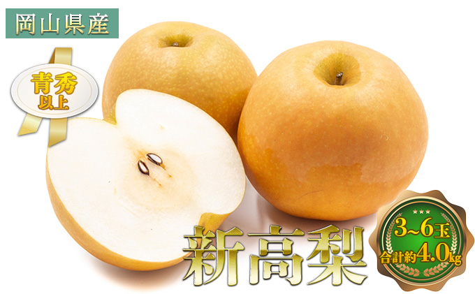 新高梨 3～6玉 青秀以上 合計約4.0kg 梨 なし 果物 フルーツ 岡山県産 化粧箱入り