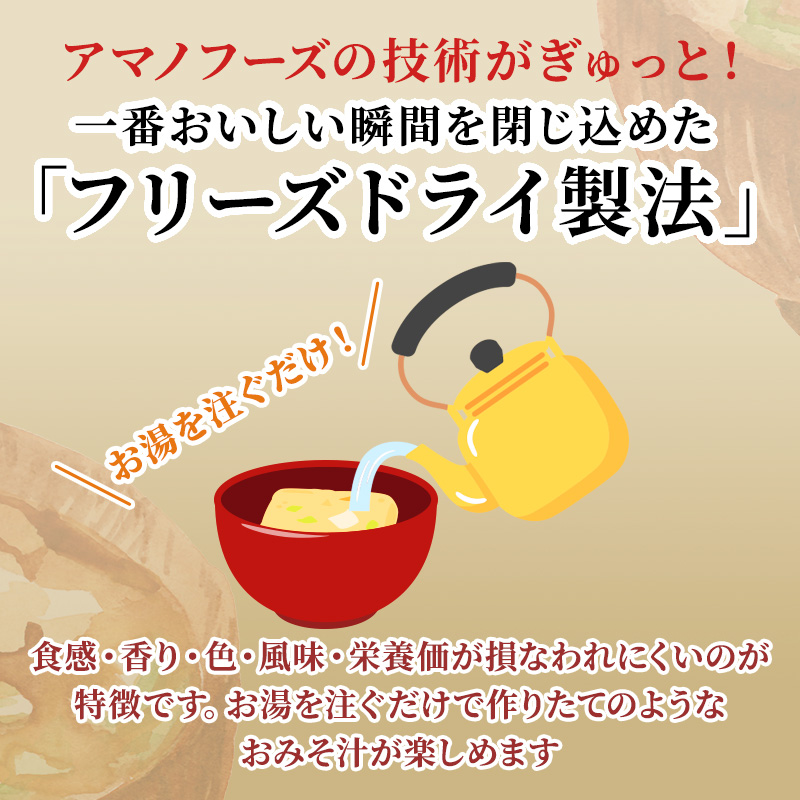 味噌汁 フリーズドライ アマノフーズ まごころ一杯減塩おみそ汁10食 インスタント フリーズドライ味噌汁 送料無料 里庄町