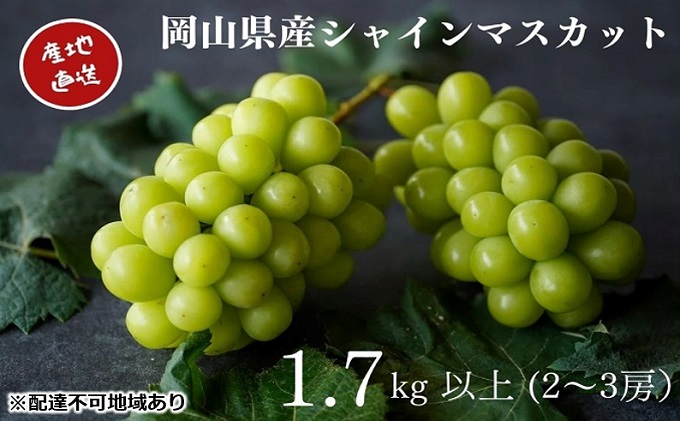 厳選 シャインマスカット 2～3房 合計1.7kg以上 産地直送 朝採れ