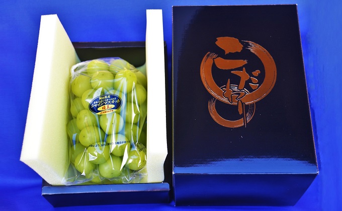 ã·ã£ã€ã³ãã¹ã«ãã ãããæ¢š ãã«ãŒã å®æäŸ¿ 2å ã³ãŒã¹ ã¶ã©ã 梚 岡山 æç© å
è¡äºçŽ 2025幎 岡山ç ãªã ãã· äººæ° æ°é®® ã®ãã æ¬