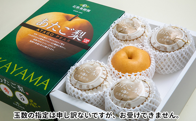 ã·ã£ã€ã³ãã¹ã«ãã ãããæ¢š ãã«ãŒã å®æäŸ¿ 2å ã³ãŒã¹ ã¶ã©ã 梚 岡山 æç© å
è¡äºçŽ 2025幎 岡山ç ãªã ãã· äººæ° æ°é®® ã®ãã æ¬