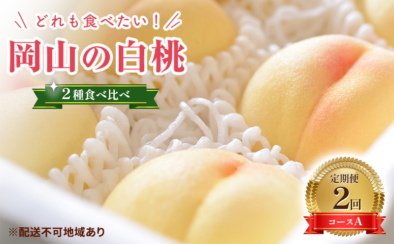 【2025年 先行予約】桃 岡山県産 岡山 白桃 2種 食べ比べ プラン 2回 コースA ( 白鳳 ・ 清水白桃 各1.5kg) 《2025年7月上旬-8月上旬頃出荷》 白桃 岡山 数量限定 期間限定 岡山 里庄町 モモ もも 桃 定期便