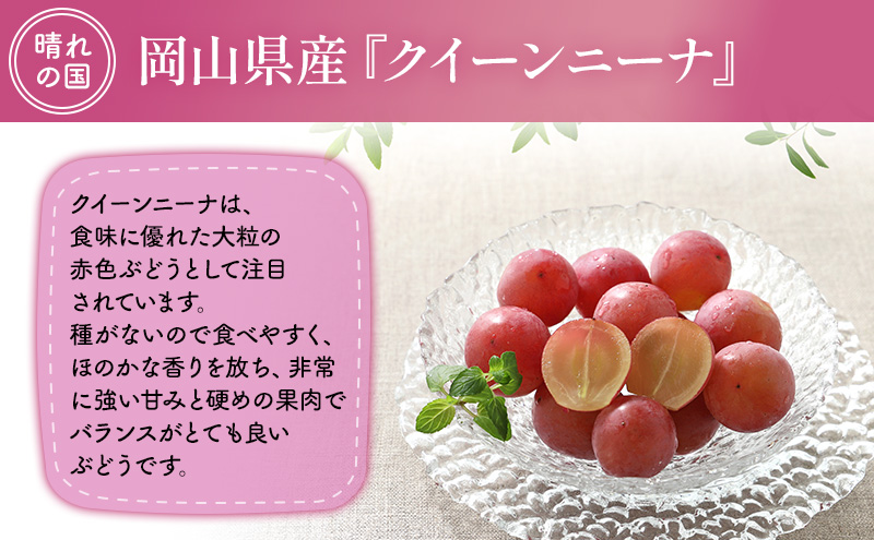 【2025年先行予約】 ぶどう 岡山県産 クイーンニーナ （ 種無し ）約2kg（3～5房） 《2025年9月上旬-下旬頃出荷》 葡萄 ブドウ フルーツ 果物 スイーツ 数量限定 期間限定 岡山 里庄町