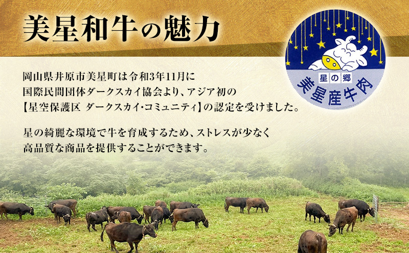 【定期便 2回 毎月届く】美星和牛 ステーキ食べ比べセット 各回約1.0kg  牛肉 岡山県 里庄町 送料無料