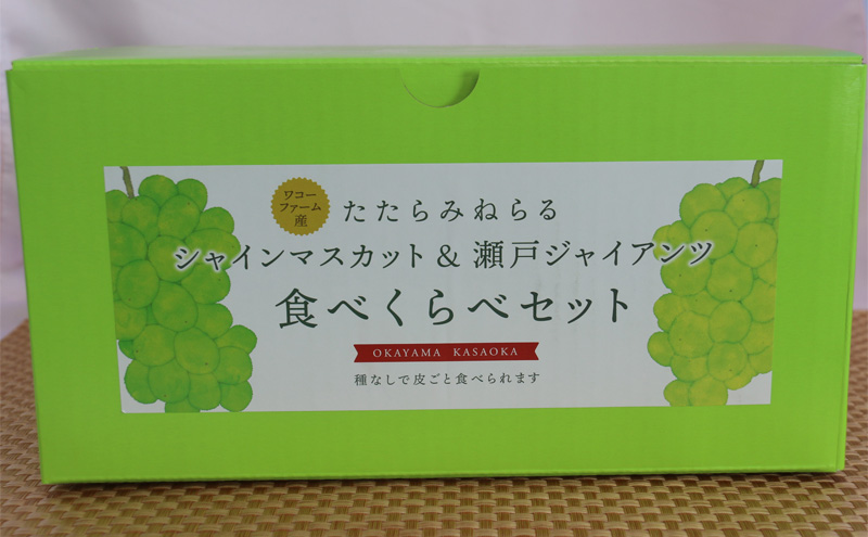 【2025年先行予約】 ぶどう 岡山県産 たたらみねらる シャインマスカット & 瀬戸ジャイアンツ 食べ比べセット 各1房(1房約650g) 《2025年9月中旬-10月中旬頃出荷》 ブドウ フルーツ 果物 数量限定 期間限定 岡山 里庄町