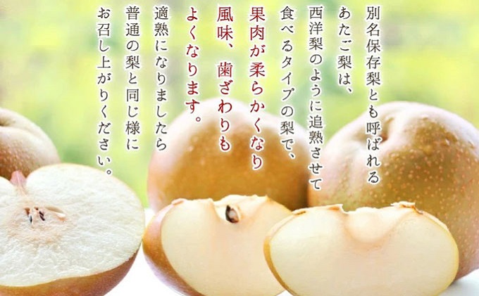 梨 ご家庭用 あたご梨 1玉 約1kg なし ナシ  岡山県産 国産 フルーツ 果物 ギフト