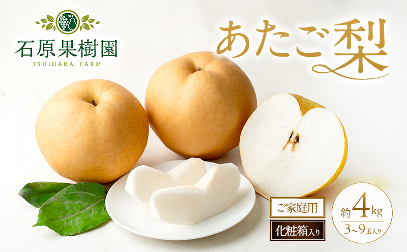 梨 2026年 先行予約 ご家庭用 あたご梨 3～9玉入り約4kg 化粧箱【11月下旬～12月中旬頃発送】 ナシ なし 岡山県産 国産 フルーツ 果物 石原果樹園