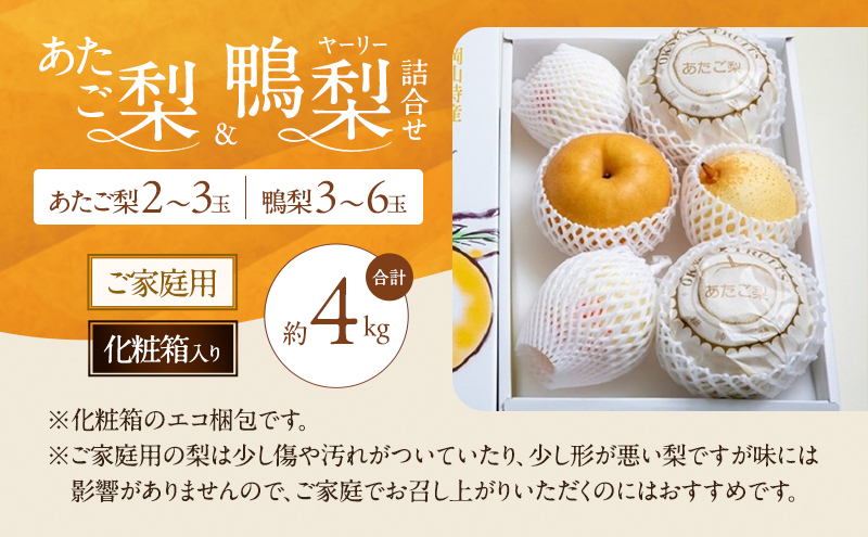 梨 2026年 先行予約 ご家庭用 あたご梨・鴨梨（ヤーリー）詰め合わせ 約4kg あたご梨2～3玉 ヤーリー3～6玉 化粧箱【11月下旬～12月中旬頃発送】 ナシ なし 岡山県産 国産 フルーツ 果物 石原果樹園 