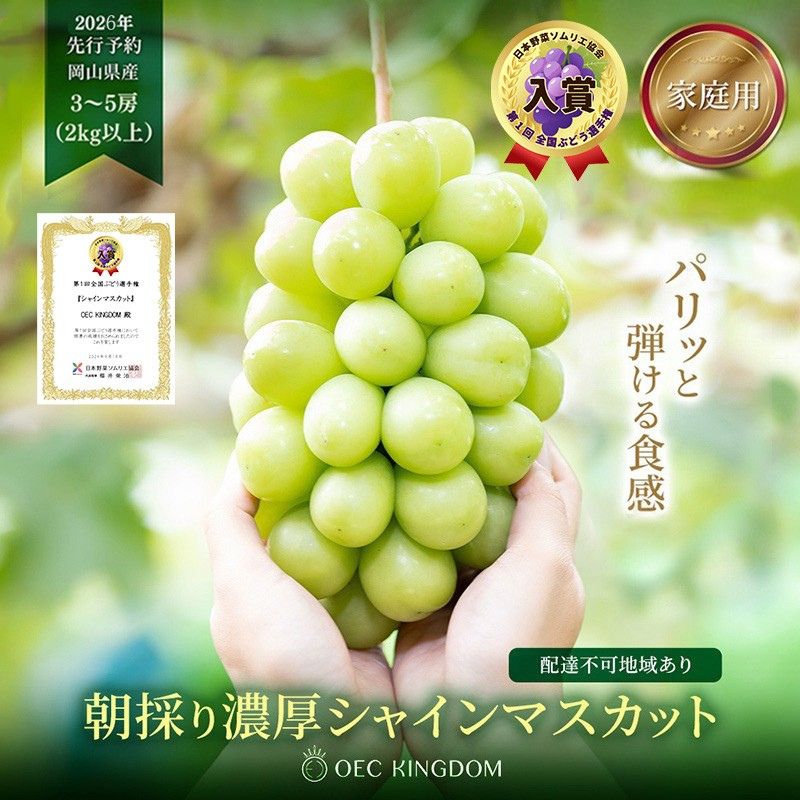 ぶどう 2026年 先行予約 ［ご家庭用］ シャイン マスカット3～5房（合計2kg以上） ブドウ 葡萄 岡山県産 国産 フルーツ 果物 OEC KINGDOM ぶどう家 果物類