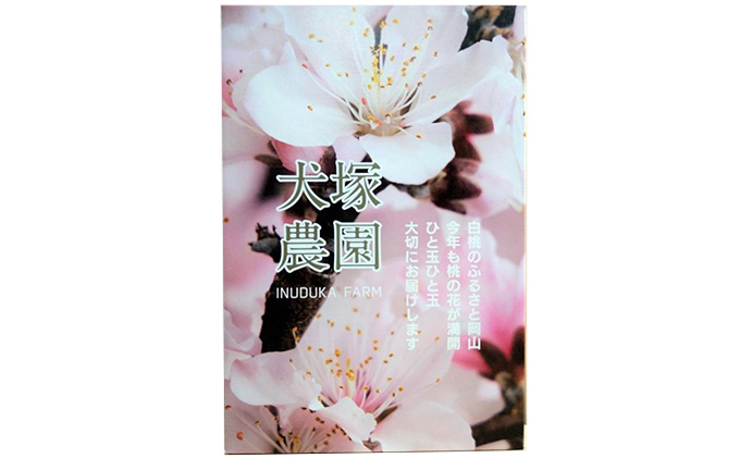 固めの桃 2026年 先行予約 贈答用 岡山の 白桃（晩生種）約1.7kg 4～6玉 岡山県 フルーツ もも 桃 モモ ピーチ 人気 新鮮 フルーツ 桃 フルーツ もも 桃 ギフト くだもの 桃 もも 果物 フルーツ 桃 もも 