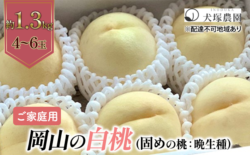 固めの桃 2026年 先行予約 ご家庭用 岡山 の 白桃 （晩生種）約1.3kg 4～6玉 岡山県 フルーツ もも 桃 モモ ピーチ 人気 新鮮 フルーツ 桃 もも 桃 モモ 訳あり くだもの 桃 もも 果物 フルーツ 桃 もも