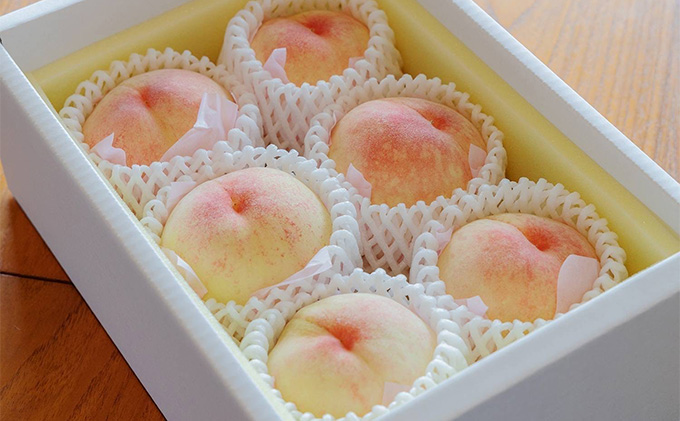 桃 2026年 先行予約 贈答用 岡山の 白桃（早生、中生種）約1.7kg 4～6玉 岡山県 フルーツ もも 桃 モモ ピーチ 人気 新鮮 フルーツ 桃 フルーツ もも 桃 ギフト くだもの 桃 もも 果物 フルーツ 桃 もも 