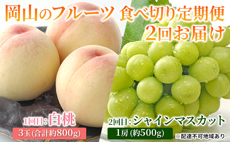 フルーツ 2026年 岡山のフルーツ 食べ切り 定期便 白桃 3玉 合計約800g／シャイン マスカット 1房 約500g もも 葡萄 ブドウ 岡山県産 フルーツ シャインマスカット 桃 果物 旬 定期便