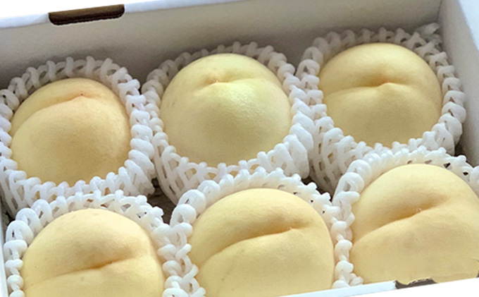 桃 2026年 先行予約 ご家庭用 訳あり 食べ比べ 定期便 1.3kg 4～6玉×2回 お届け 岡山県 人気 新鮮 フルーツ 桃 フルーツ もも 桃 訳あり 桃 もも 果物 旬 定期便 