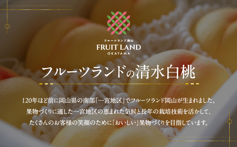 桃 2026年 先行予約 清水白桃 5玉 合計約1.3kg もも モモ 岡山県産 国産 フルーツ 果物 ギフト