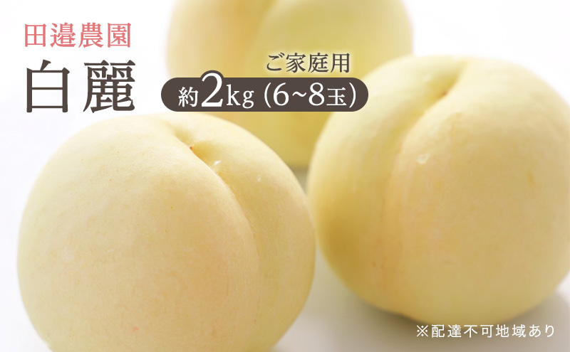 もも 2024年 先行予約 ご家庭用 白麗 約2kg（6～8玉） 田邉農園 岡山 桃 もも 果物 フルーツ