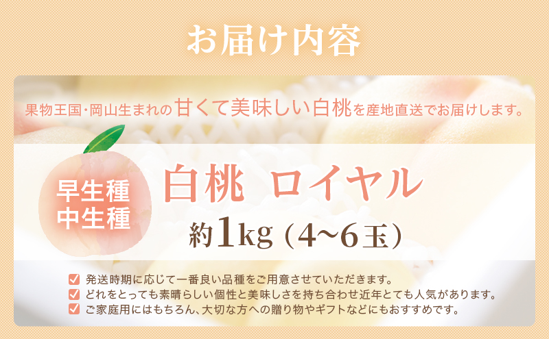 桃 2025年 先行予約 岡山 白桃 ロイヤル 4～6玉 約1kg JA おかやま のもも（早生種・中生種） もも モモ 岡山県産 国産 フルーツ 果物 ギフト