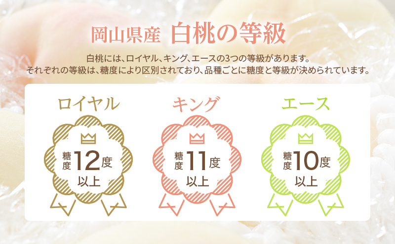 桃 2025年 先行予約 岡山 白桃 ロイヤル 4～6玉 約1kg JA おかやま のもも（早生種・中生種） もも モモ 岡山県産 国産 フルーツ 果物 ギフト