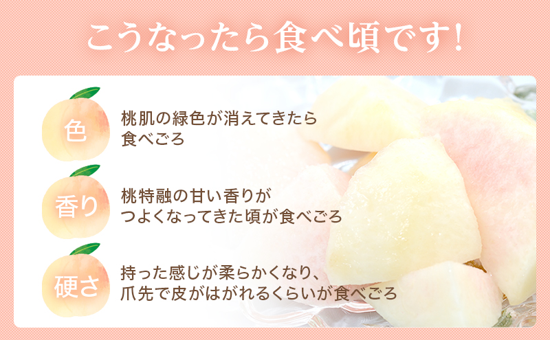 桃 2026年 先行予約 岡山 白桃 ロイヤル 4～6玉 約1kg JA おかやま のもも（早生種・中生種） もも モモ 岡山県産 国産 フルーツ 果物 ギフト 甘い 美味しい 産地直送 贈り物 高糖度 
