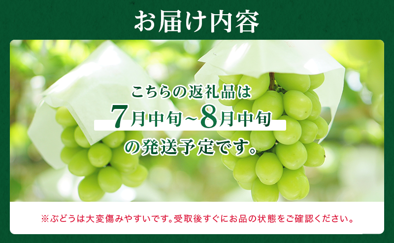 ぶどう 2024年 先行予約 シャイン マスカット 晴王 5房～10房 約5kg 7月中旬～8月中旬発送 ブドウ 葡萄  岡山県産 国産 フルーツ 果物 ギフト