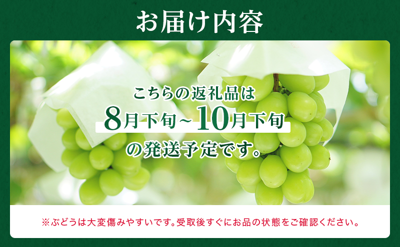 ぶどう 2026年 先行予約 シャイン マスカット 晴王 約400g×2房 8月下旬～11月下旬発送 ブドウ 葡萄 岡山県産 国産 フルーツ 果物 ギフト 