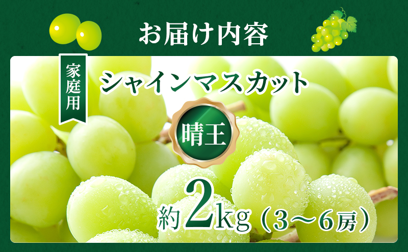 ぶどう 2024年 先行予約 ご家庭用 シャイン マスカット 晴王 3～6房 約2kg ブドウ 葡萄  岡山県産 国産 フルーツ 果物