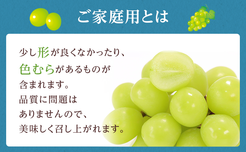 ぶどう 2024年 先行予約 ご家庭用 シャイン マスカット 晴王 3～6房 約1.5kg ブドウ 葡萄  岡山県産 国産 フルーツ 果物