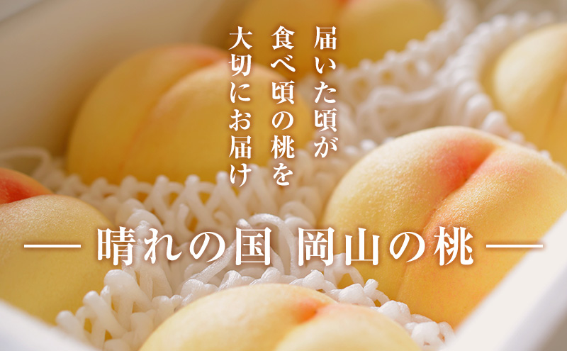 【2025年先行予約】 桃 岡山県産 白鳳 （ 白桃 ） 約2kg（6～8玉）  《2025年7月上旬-中旬頃出荷》 白桃 岡山 はくとう スイーツ フルーツ 果物 先行予約 数量限定 期間限定 岡山 里庄町 モモ もも 桃