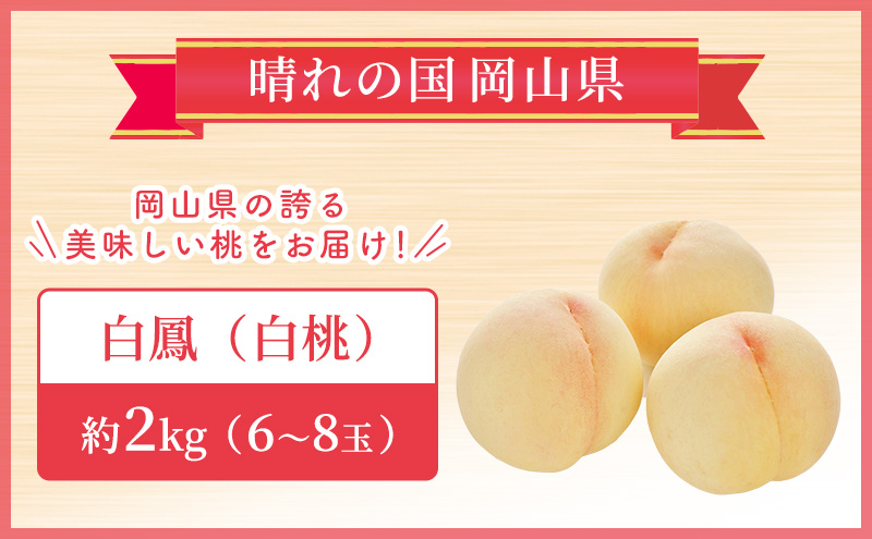 【2025年先行予約】 桃 岡山県産 白鳳 （ 白桃 ） 約2kg（6～8玉）  《2025年7月上旬-中旬頃出荷》 白桃 岡山 はくとう スイーツ フルーツ 果物 先行予約 数量限定 期間限定 岡山 里庄町 モモ もも 桃