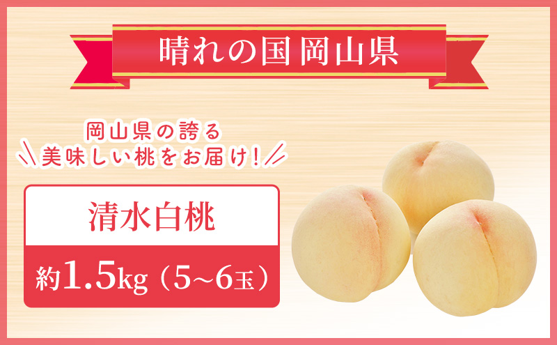  【2025年先行予約】 桃 岡山県産 清水 白桃 約1.5kg(5～6玉)  《2025年7月中旬-8月上旬頃出荷》 白桃 岡山 はくとう スイーツ フルーツ 果物 先行予約 数量限定 期間限定 岡山 里庄町 モモ もも 桃