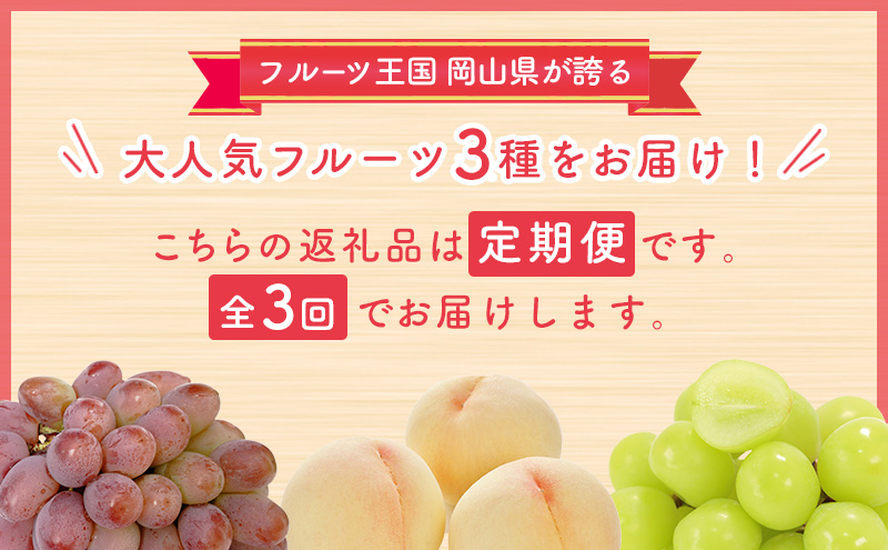 【 2026年 先行予約 】ぶどう 桃 ぼっけぇうめぇ フルーツ 定期便 3回 コース -2 ( 白桃 ・ シャインマスカット ・ 紫苑 )《2026年8月-10月出荷》 岡山県産 フルーツ 果物 数量限定 里庄町 