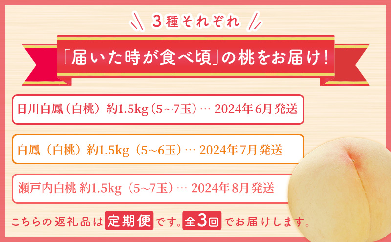 【2025年先行予約】 桃 岡山県産 どれも食べたい！岡山の桃 3種 満喫 プラン 3回 コースA ( 日川白鳳 ・ 白鳳 ・ 瀬戸内白桃 各1.5kg)《2025年6月上旬-8月下旬頃出荷》白桃 数量限定 期間限定 定期便