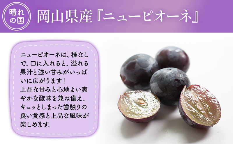 【2025年先行予約】 ぶどう 岡山県産 ニューピオーネ （ 種無し ）約2kg（3～5房） 《2025年9月上旬-中旬頃出荷》 葡萄 ブドウ フルーツ 果物 スイーツ 数量限定 期間限定 岡山 里庄町