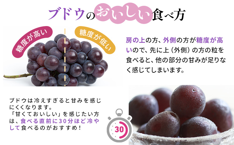 【2025年先行予約】 ぶどう 岡山県産 ニューピオーネ （ 種無し ）約2kg（3～5房） 《2025年9月上旬-中旬頃出荷》 葡萄 ブドウ フルーツ 果物 スイーツ 数量限定 期間限定 岡山 里庄町