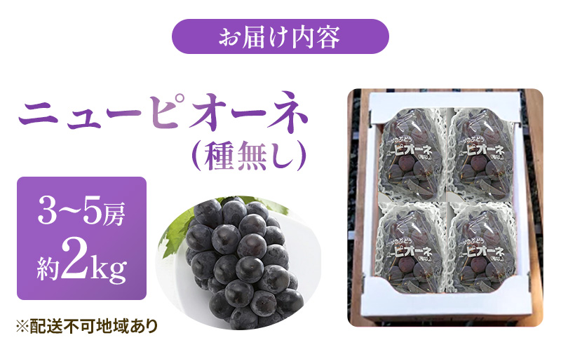 【2025年先行予約】 ぶどう 岡山県産 ニューピオーネ （ 種無し ）約2kg（3～5房） 《2025年9月上旬-中旬頃出荷》 葡萄 ブドウ フルーツ 果物 スイーツ 数量限定 期間限定 岡山 里庄町