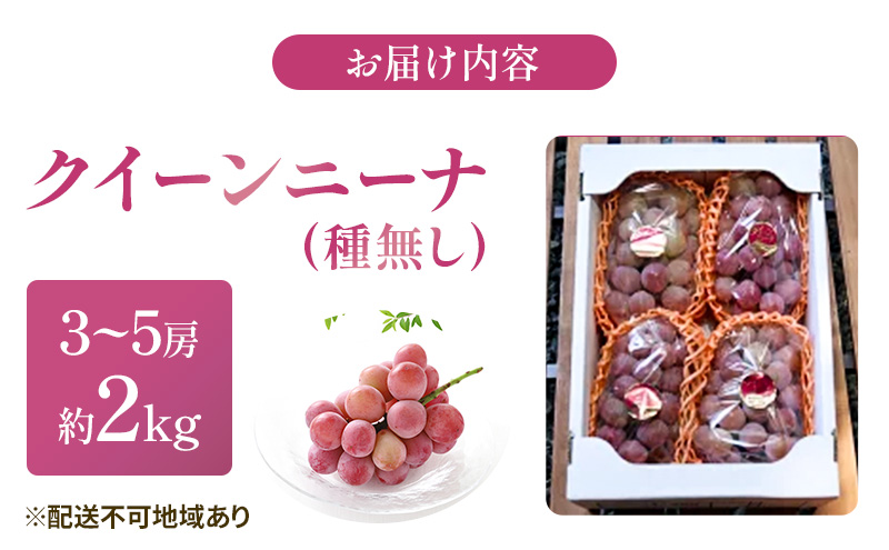 【2025年先行予約】 ぶどう 岡山県産 クイーンニーナ （ 種無し ）約2kg（3～5房） 《2025年9月上旬-下旬頃出荷》 葡萄 ブドウ フルーツ 果物 スイーツ 数量限定 期間限定 岡山 里庄町