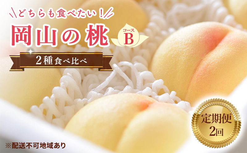 【 2025年 先行予約 】桃 岡山県産 岡山 の桃 2種 食べ比べ プラン 2回 コースB ( 加納岩白桃 ・ あかつき 各1.5kg) 《2025年6月下旬-7月中旬頃出荷》 フルーツ もも モモ ギフト 果物 旬 定期便