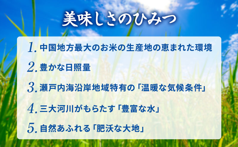 無洗米 こしひかり 10kg (5kg×2袋) 岡山 米 白米 お米