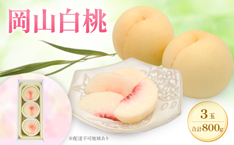 もも 2026年 先行予約 岡山白桃 ロイヤル 3玉 合計約800g  (7月上旬～7月下旬出荷予定)