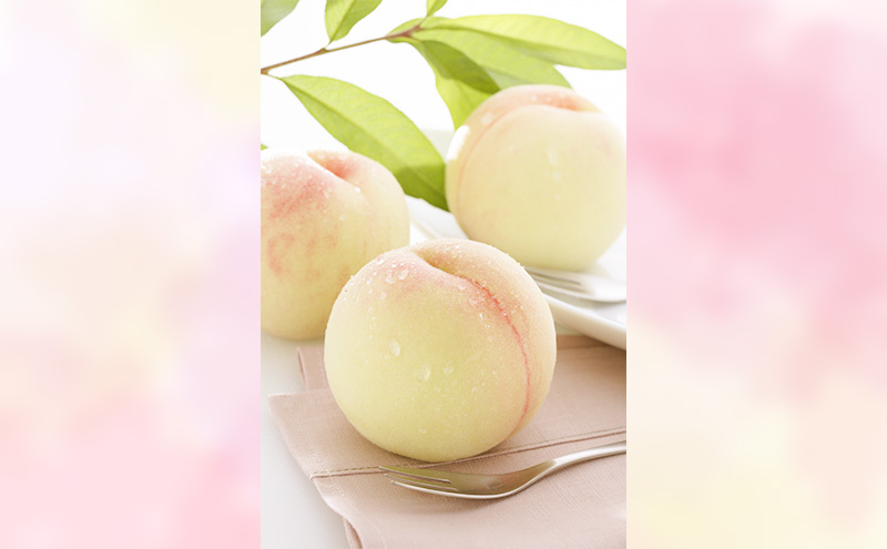 ãã 2026幎 å
è¡äºçŽ å²¡å±±çœæ¡ ãã€ã€ã« 3ç åèšçŽ800g (7æäžæ¬ïœ7æäžæ¬åºè·äºå®)