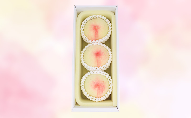 ãã 2026幎 å
è¡äºçŽ å²¡å±±çœæ¡ ãã€ã€ã« 3ç åèšçŽ800g (7æäžæ¬ïœ7æäžæ¬åºè·äºå®)