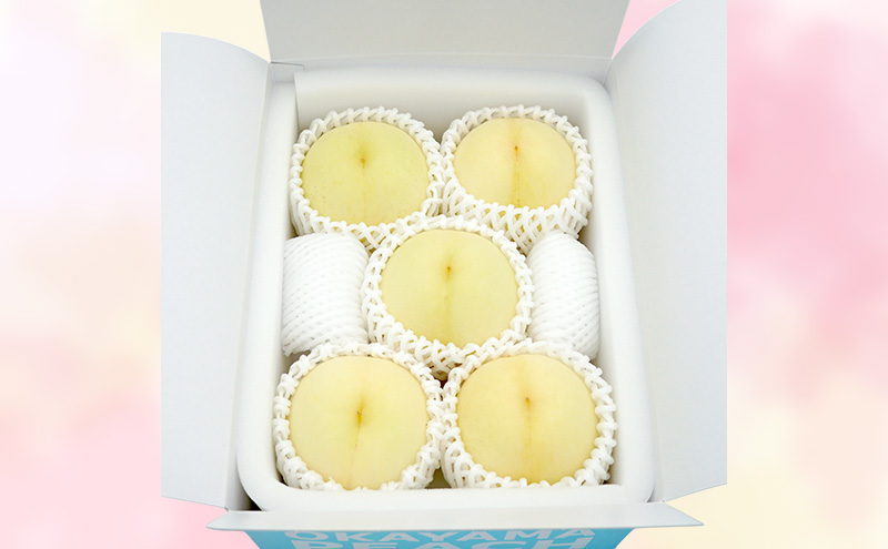 もも 2026年 先行予約 【ご家庭用】 岡山白桃 エース 4～5玉 約1.2kg  (6月下旬～7月下旬出荷予定)