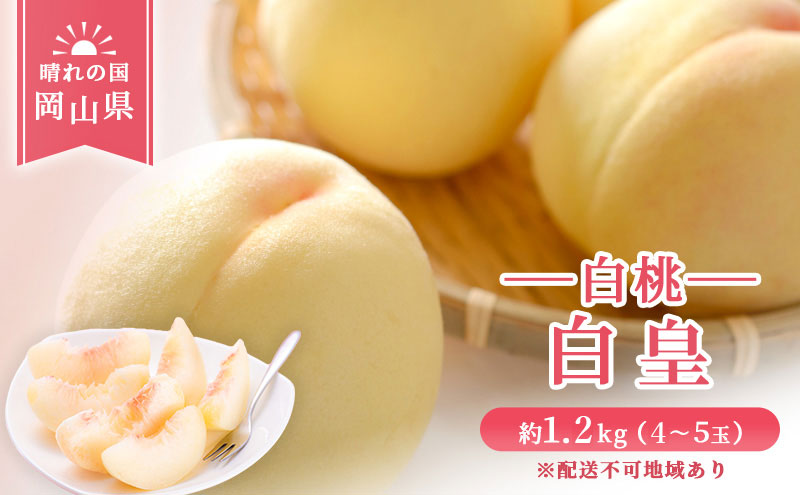 【 2026年 先行予約】 桃 岡山県産 白皇 （ 白桃 ） 約1.2kg （4～5玉）  《2026年8月中旬-8月下旬頃出荷》 白桃 岡山 はくとう スイーツ フルーツ 果物 先行予約 数量限定 期間限定 里庄町 モモ もも