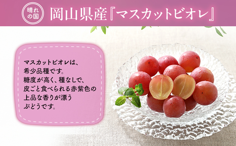 【2026年先行予約】 ぶどう 岡山県産 皮ごと 食べられる マスカット ビオレ 種無し 約2kg （3～5房）  《2026年9月下旬-10月下旬頃出荷》 葡萄 ブドウ フルーツ 果物 数量限定 期間限定 岡山 里庄町 