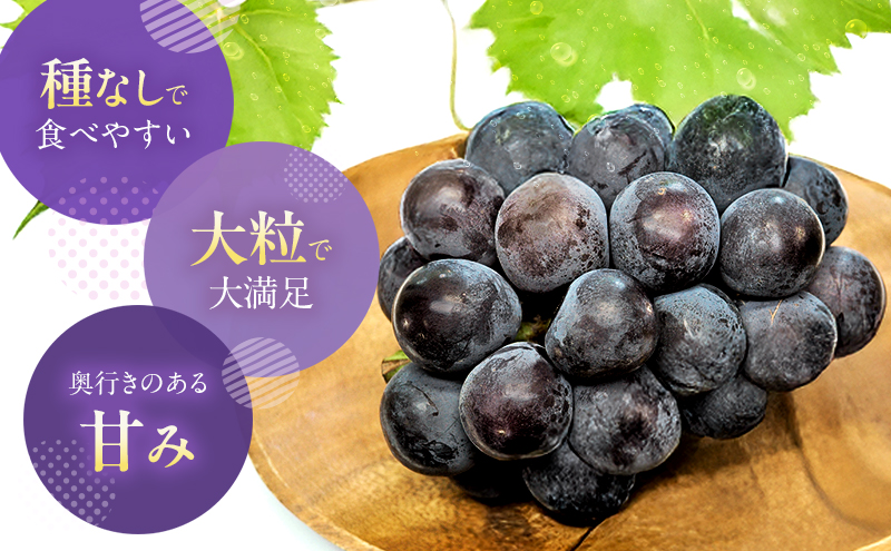 ã2026幎å
è¡äºçŽã ã¶ã©ã 岡山çç£ ãªãŒãã©ãã©ãã¯ ïŒ çš®ç¡ã ïŒçŽ1kgïŒ2æ¿ïŒ ã2026幎9æäžæ¬-äžæ¬é åºè·ã è¡è ãã㊠ãã«ãŒã æç© ã¹ã€ãŒã æ°ééå® æééå® å²¡å±± éåºçº