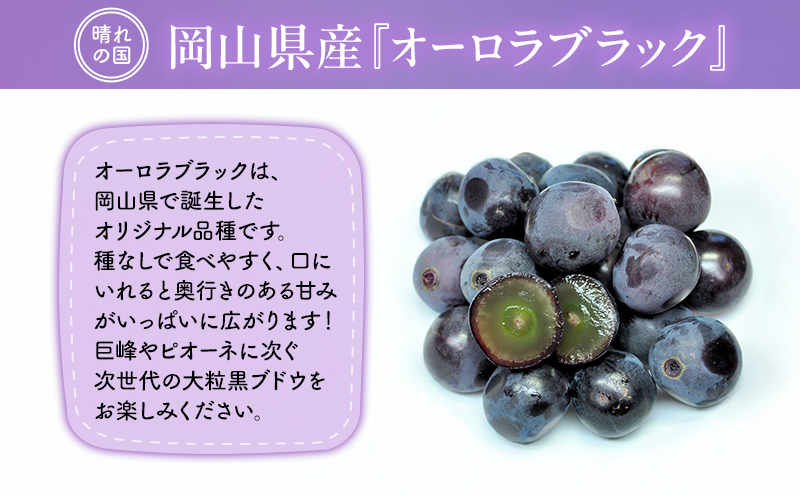 ã2026幎å
è¡äºçŽã ã¶ã©ã 岡山çç£ ãªãŒãã©ãã©ãã¯ ïŒ çš®ç¡ã ïŒçŽ1kgïŒ2æ¿ïŒ ã2026幎9æäžæ¬-äžæ¬é åºè·ã è¡è ãã㊠ãã«ãŒã æç© ã¹ã€ãŒã æ°ééå® æééå® å²¡å±± éåºçº